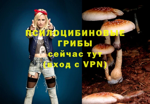 COCAINE Михайлов